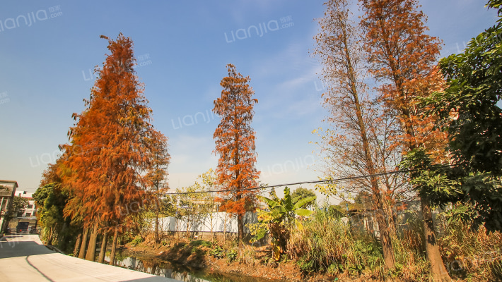 怡安中路二巷10号外景图