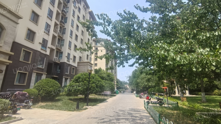 天一仁和印象外景图