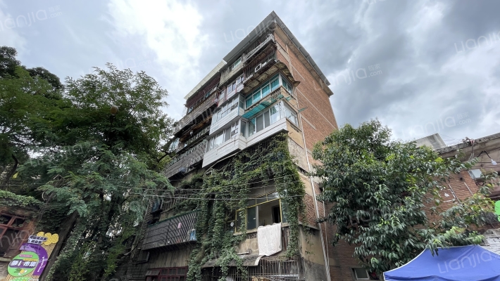 八鸽岩路162号外景图