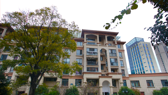 丽都四季花园外景图