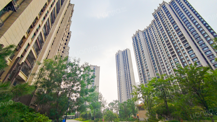 盛世锦园外景图