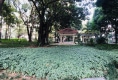 怡翠花园20