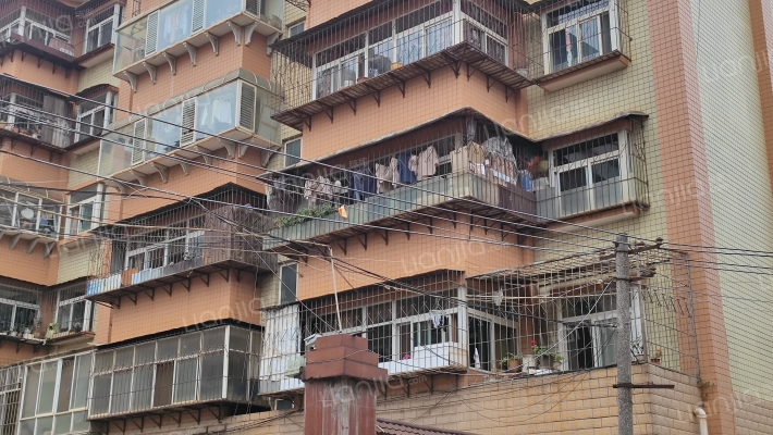 弹簧钢板厂家属区外景图