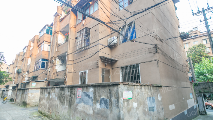 青春路66弄外景图