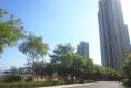 金广东海岸11