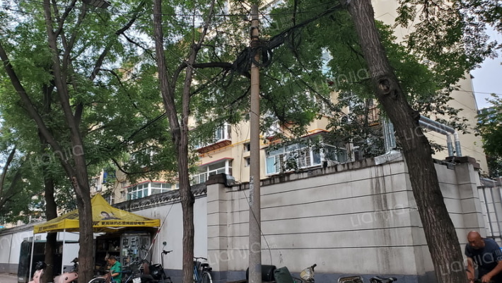 东风塑料厂宿舍外景图