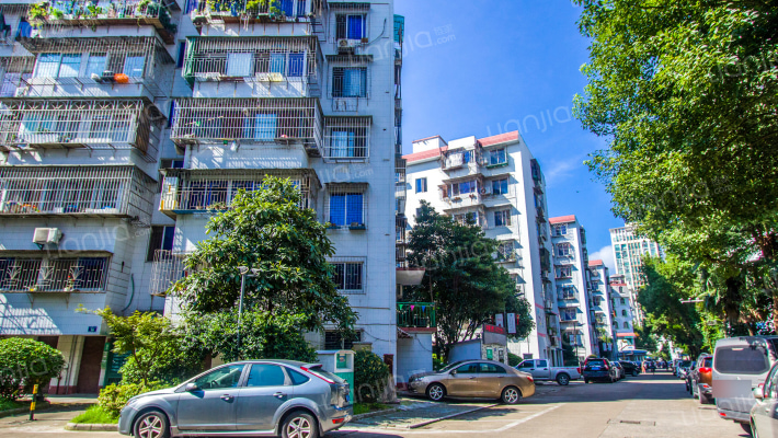 孔雀社区外景图