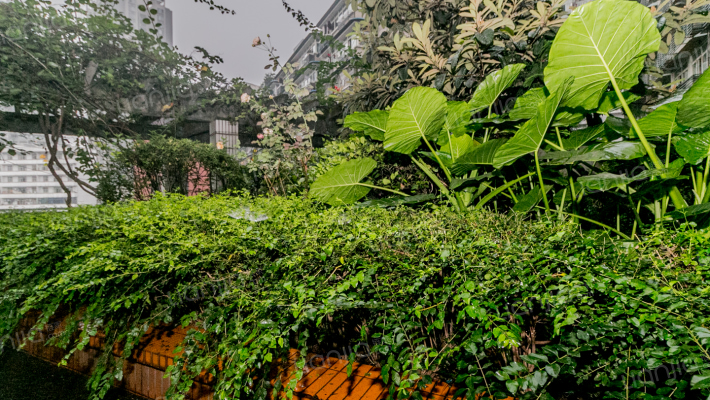 大坪正街108号外景图