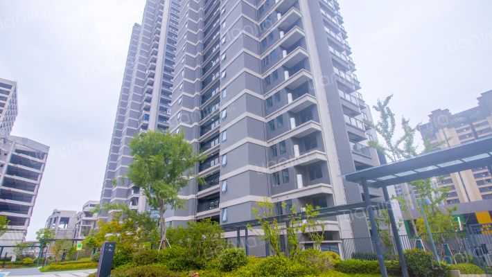 伊水湾花苑外景图