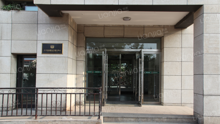 北美金棕榈外景图