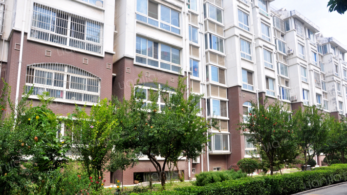 金都家园外景图