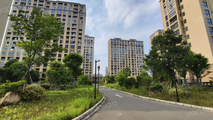 大明泽府外景图