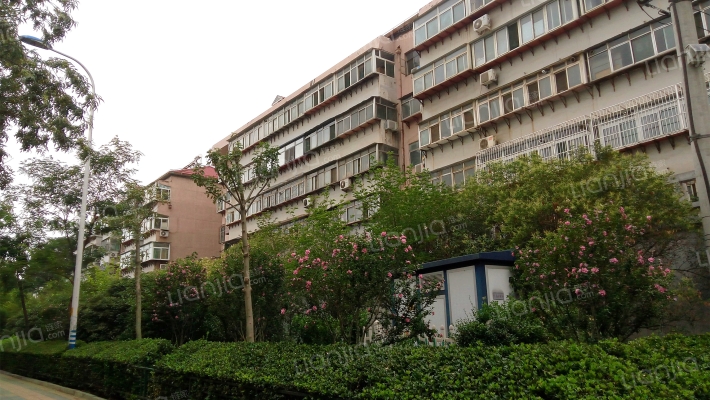 无影山新村四区外景图