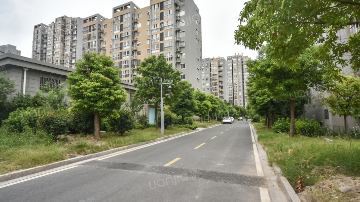 港湾明珠外景图