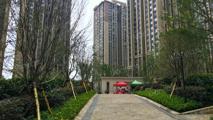 蓝光天娇城外景图