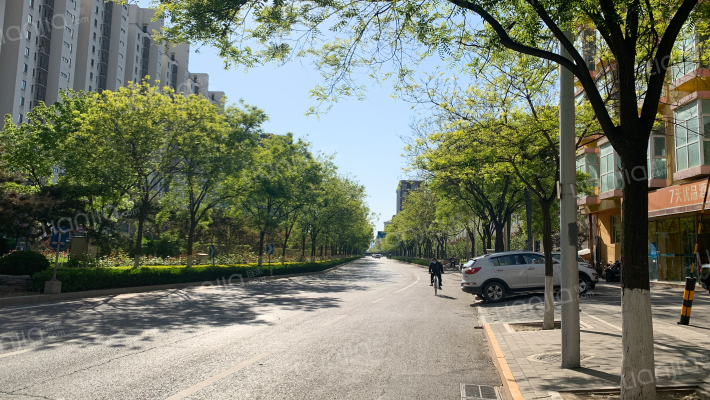 汉唐国际外景图