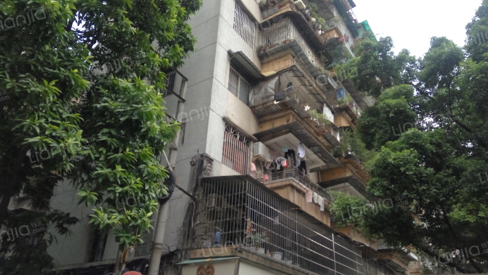 飞鹅新村外景图