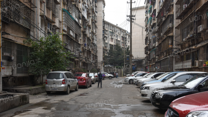 南园小区外景图