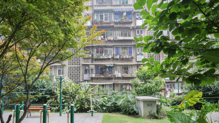 枣子巷17号外景图