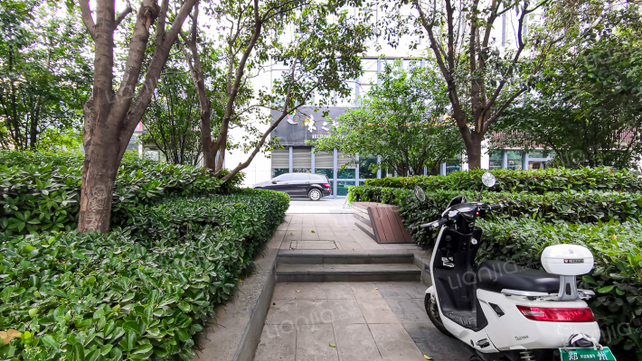 楷林中心外景图