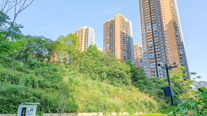 半山半园外景图