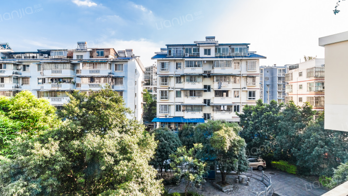 玫瑰丽苑外景图