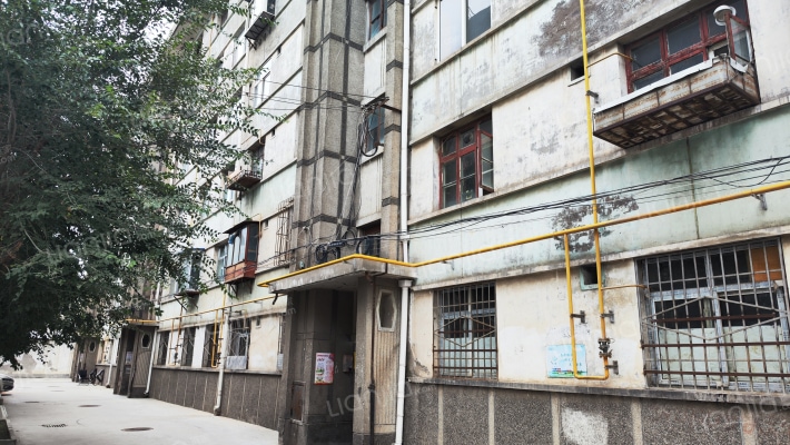 木材厂家属院外景图