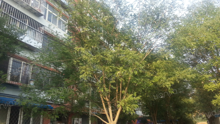 看丹路8号院外景图