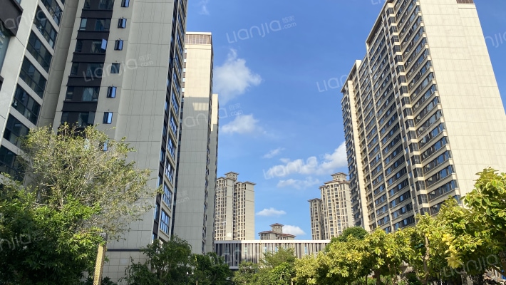 仁恒海棠公园二期新界外景图