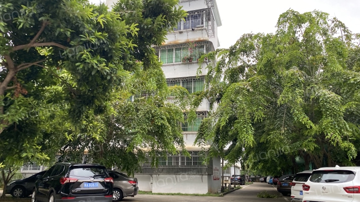 文体局宿舍外景图