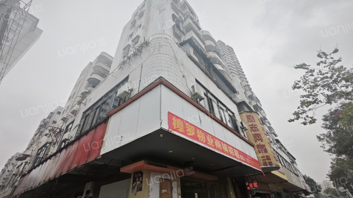 龙苑大厦外景图