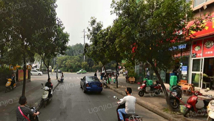 柏林春天外景图