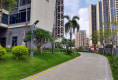 红树景园2
