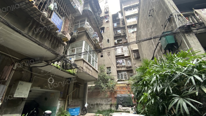 粮食局宿舍外景图