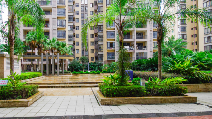 飞扬国际外景图