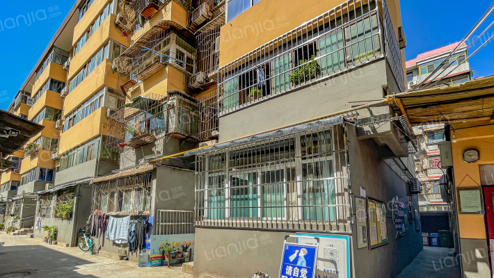 蝴蝶手表厂西木头市41号家属院外景图