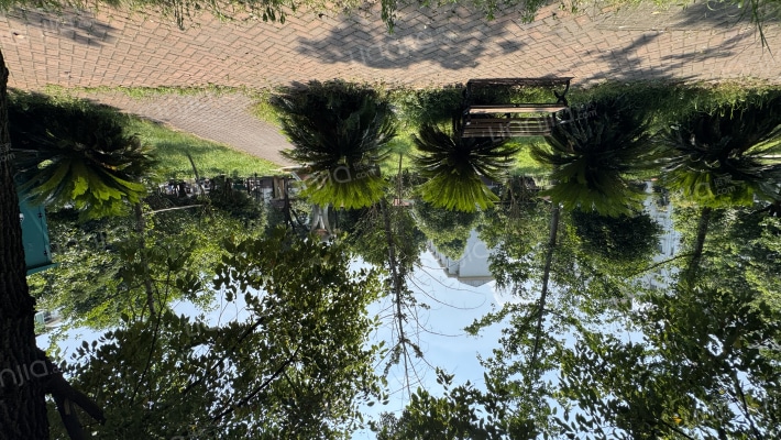 中南三村外景图