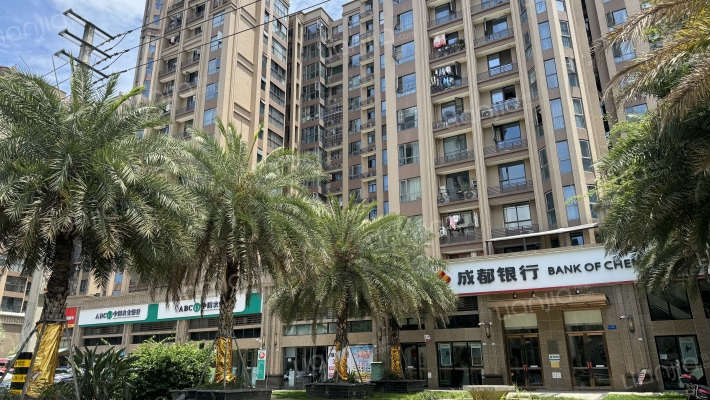 新筑鼎峰外景图