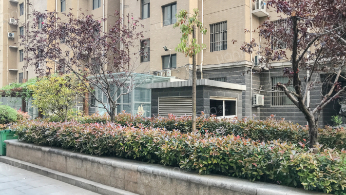 盛世年华外景图