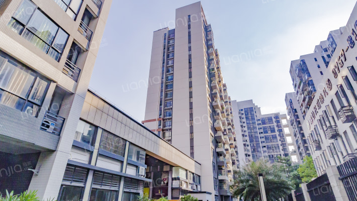 桐林美苑外景图