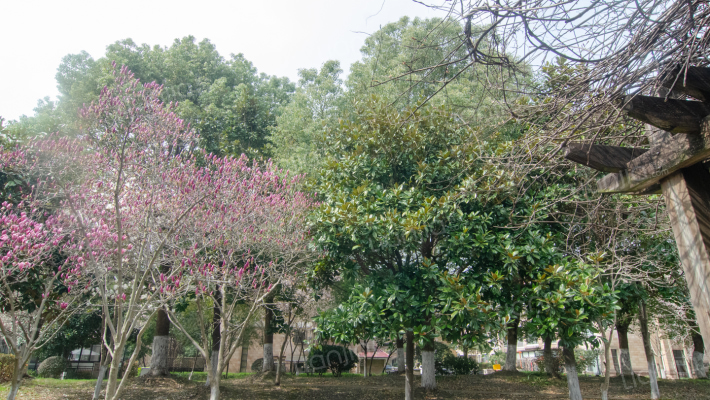 英伦风尚外景图