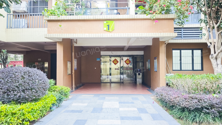 盛天新界外景图