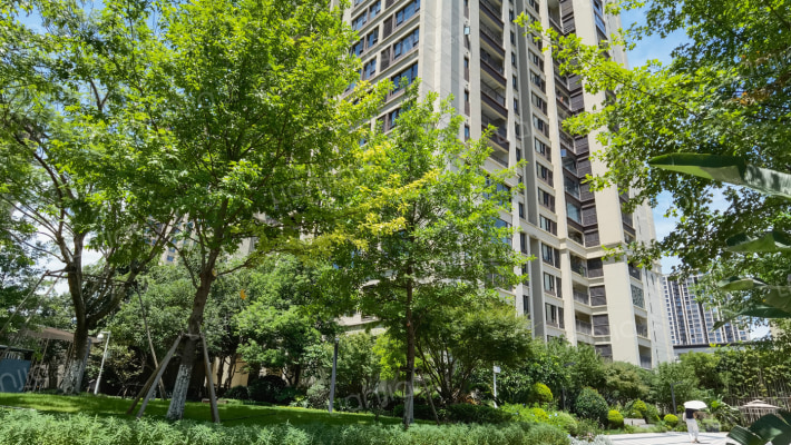 澜山望峯上外景图