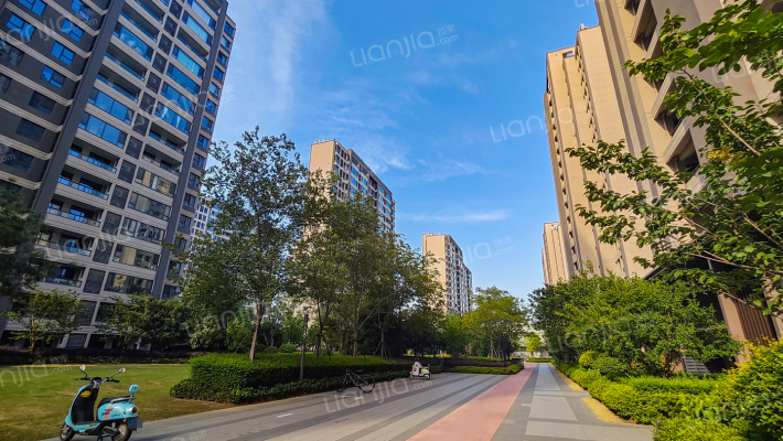 龙池映园外景图