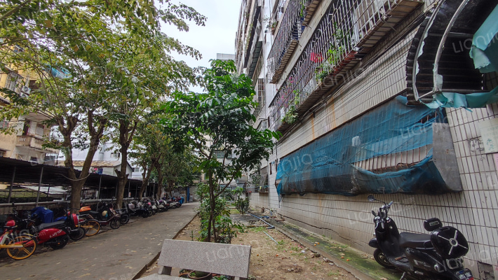 水产研究所家属楼外景图