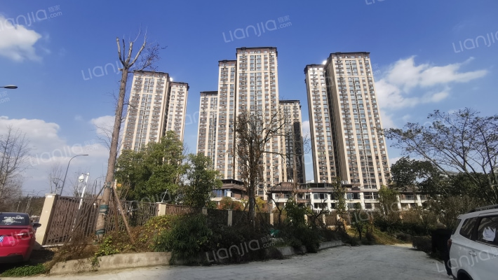 滨江彼岸外景图