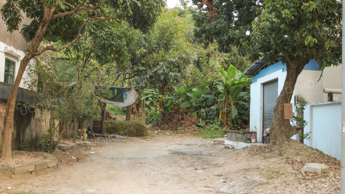 旱坑大街外景图