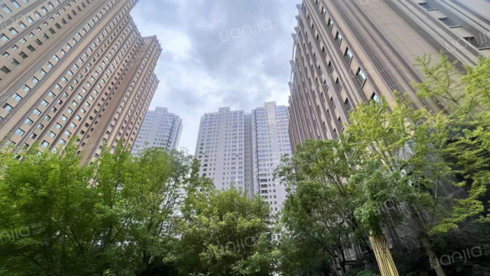 中集青春里外景图