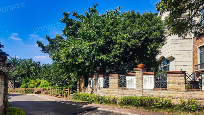 国贸金门湾日光海外景图