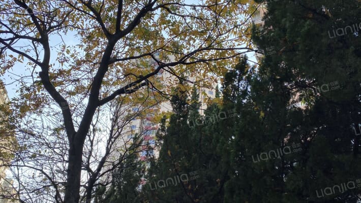 银霄大厦外景图